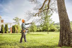 Best Firewood Processing and Delivery  in Huntingdon, TN